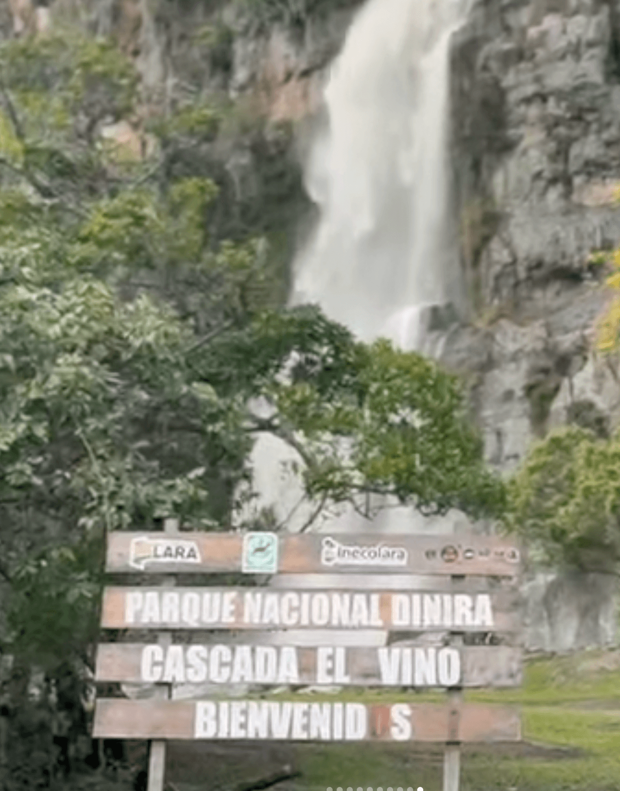 🌿 Parque Dinira & La Cascada del Vino Donde la naturaleza escribe su historia más salvaje
